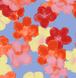 Sky Bloom