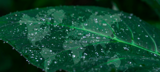 Sustainability in our lives