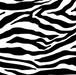Zebra Pulse