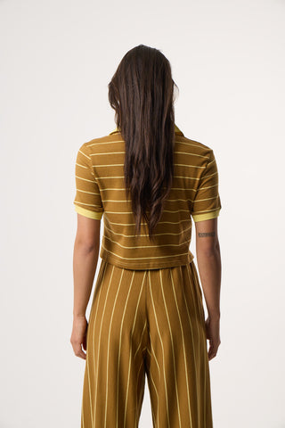 Top με Πόλο γιακά Daily Stripes | Καφέ