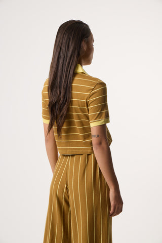 Top με Πόλο γιακά Daily Stripes | Καφέ
