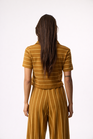 Top με Πόλο γιακά Daily Stripes | Καφέ