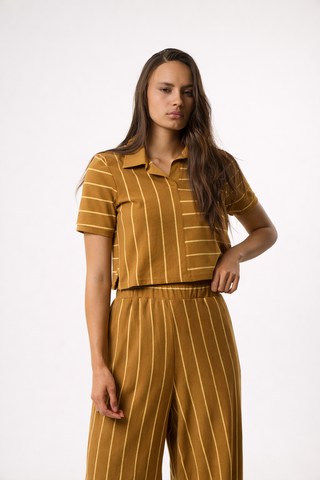 Top με Πόλο γιακά Daily Stripes | Καφέ